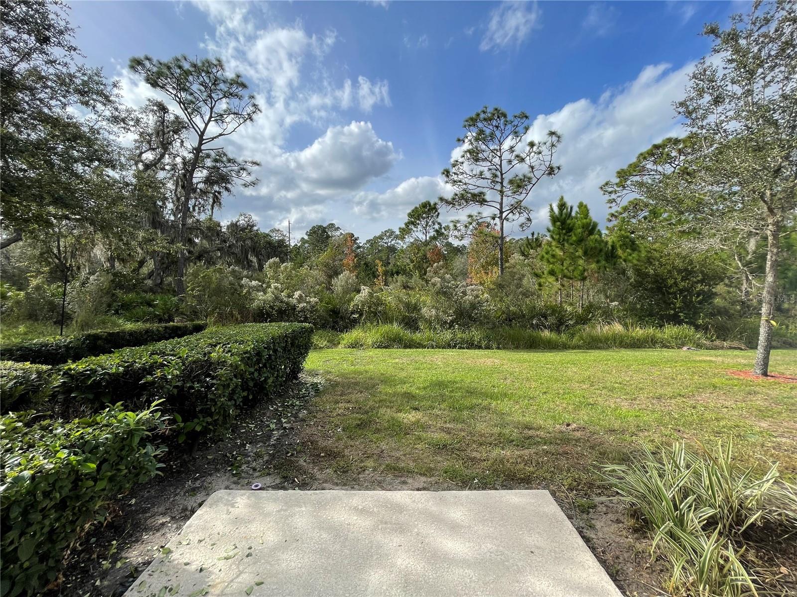 Image 27 of 34 For 11114 Whistling Pine Way