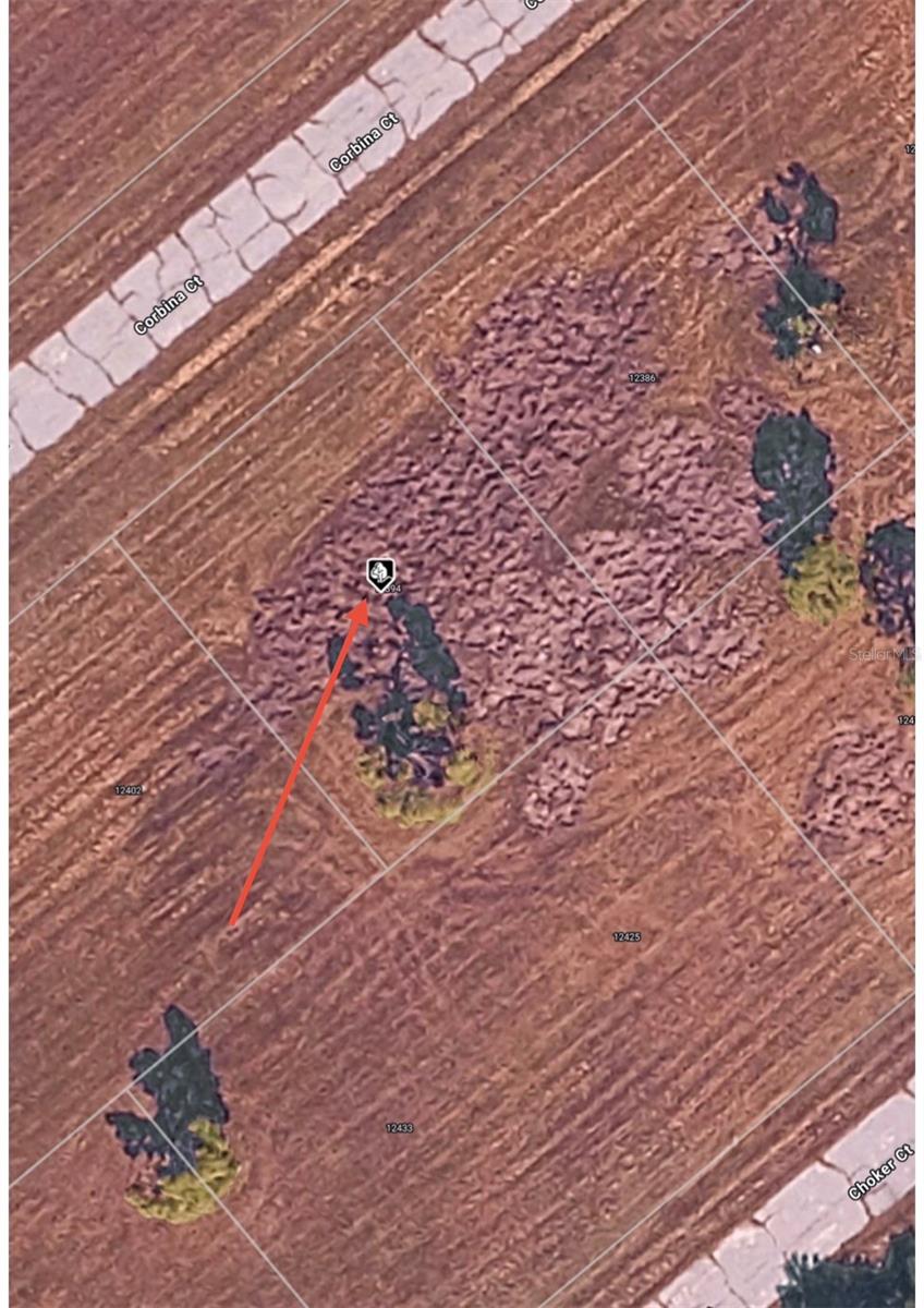 Details for 12394 Corbina Court, PLACIDA, FL 33946