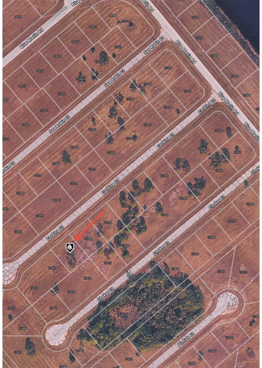 Image 2 of 8 For 12394 Corbina Court