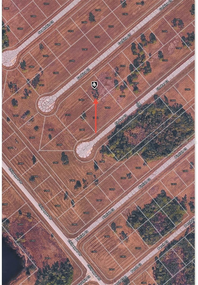 Image 5 of 8 For 12394 Corbina Court