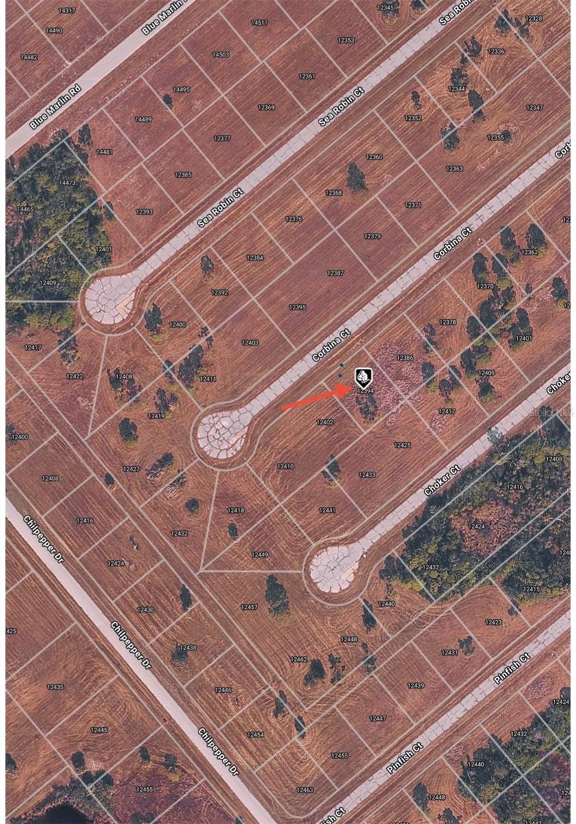 Image 6 of 8 For 12394 Corbina Court