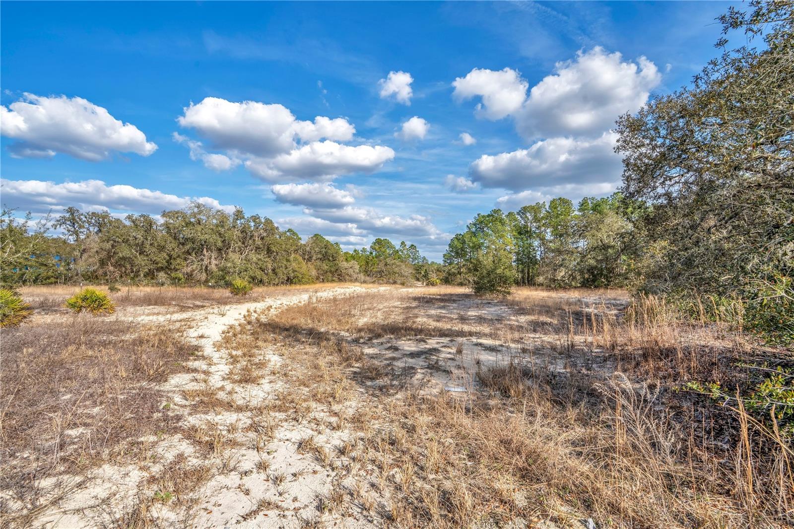 Image 6 of 20 For Goodstone Drive