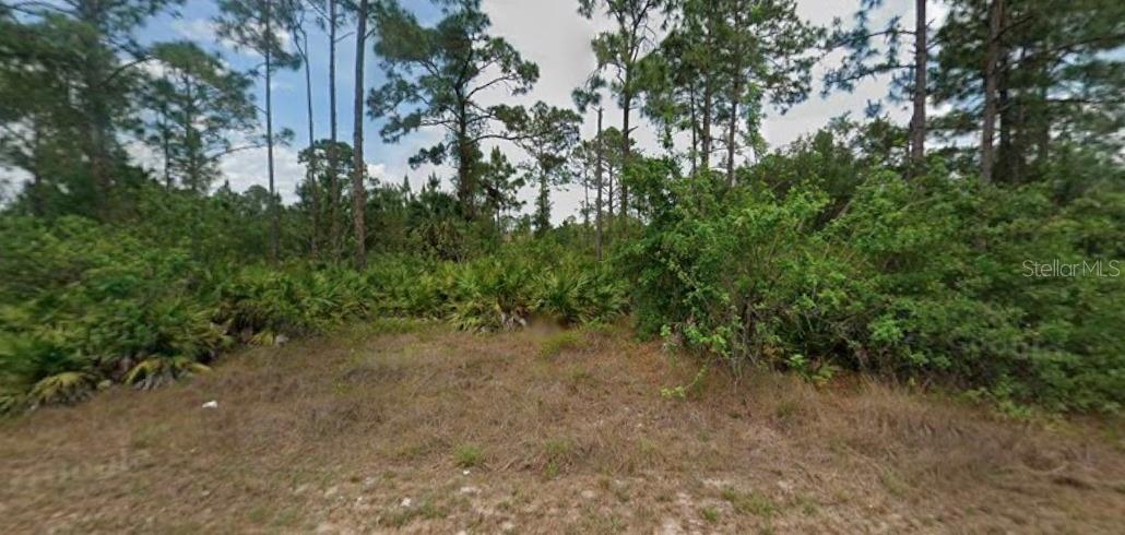 Details for 904 Robert Avenue, LEHIGH ACRES, FL 33936