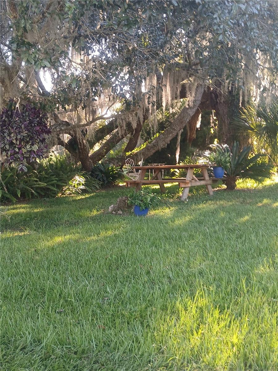 Image 11 of 31 For 10360 County Road 18