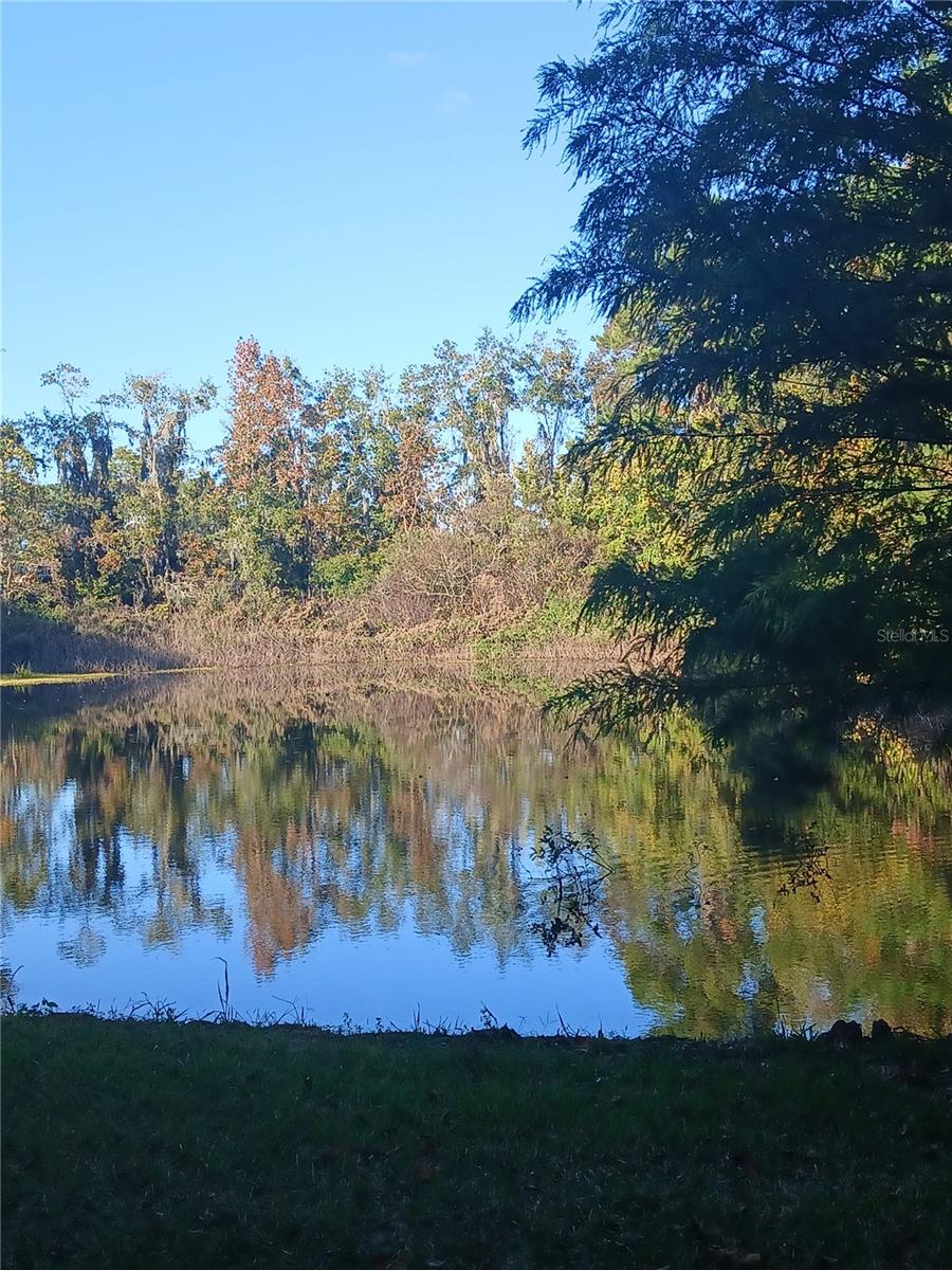 Image 12 of 31 For 10360 County Road 18