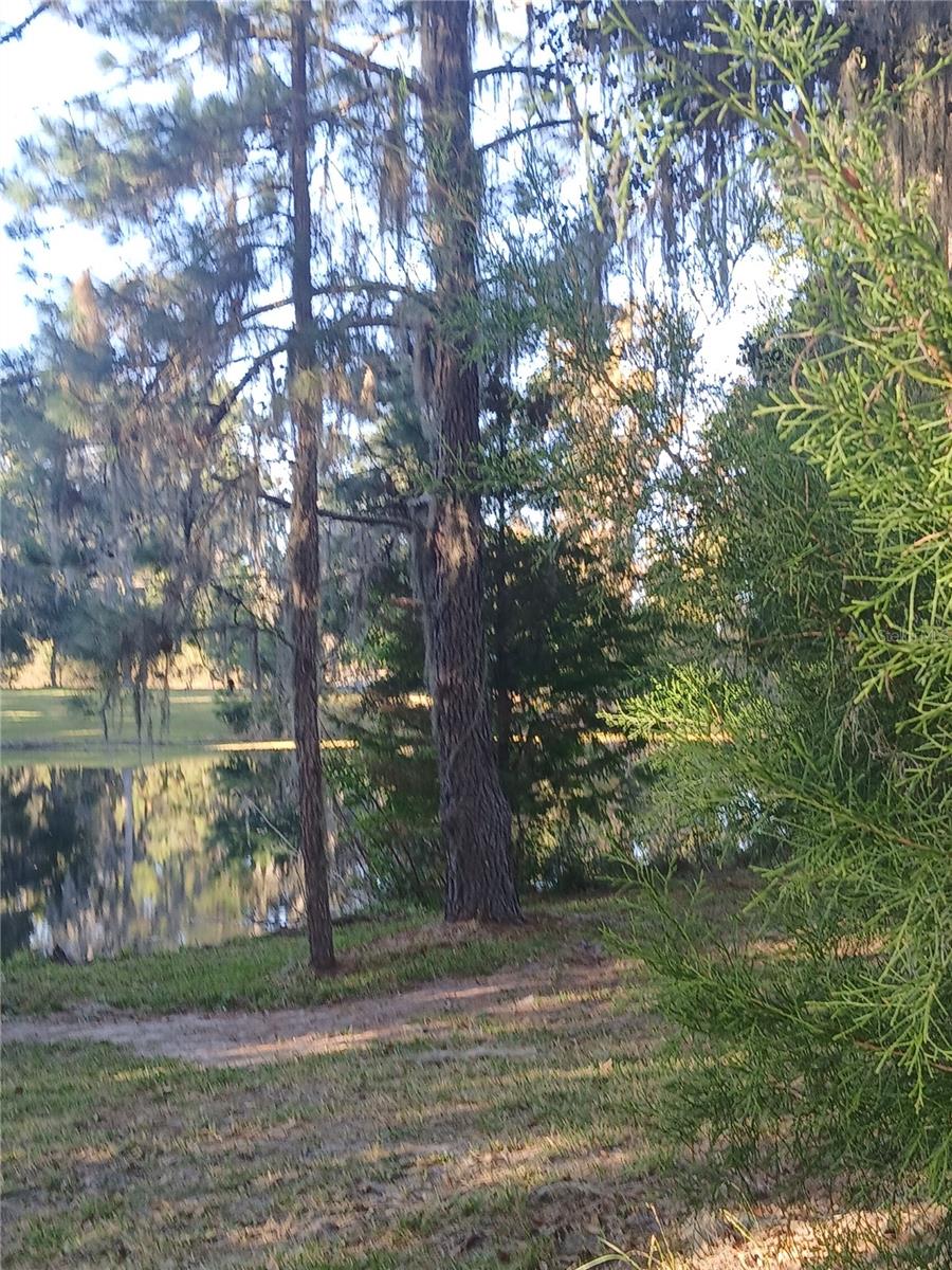 Image 13 of 31 For 10360 County Road 18