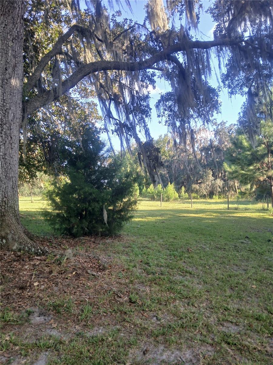 Image 29 of 31 For 10360 County Road 18