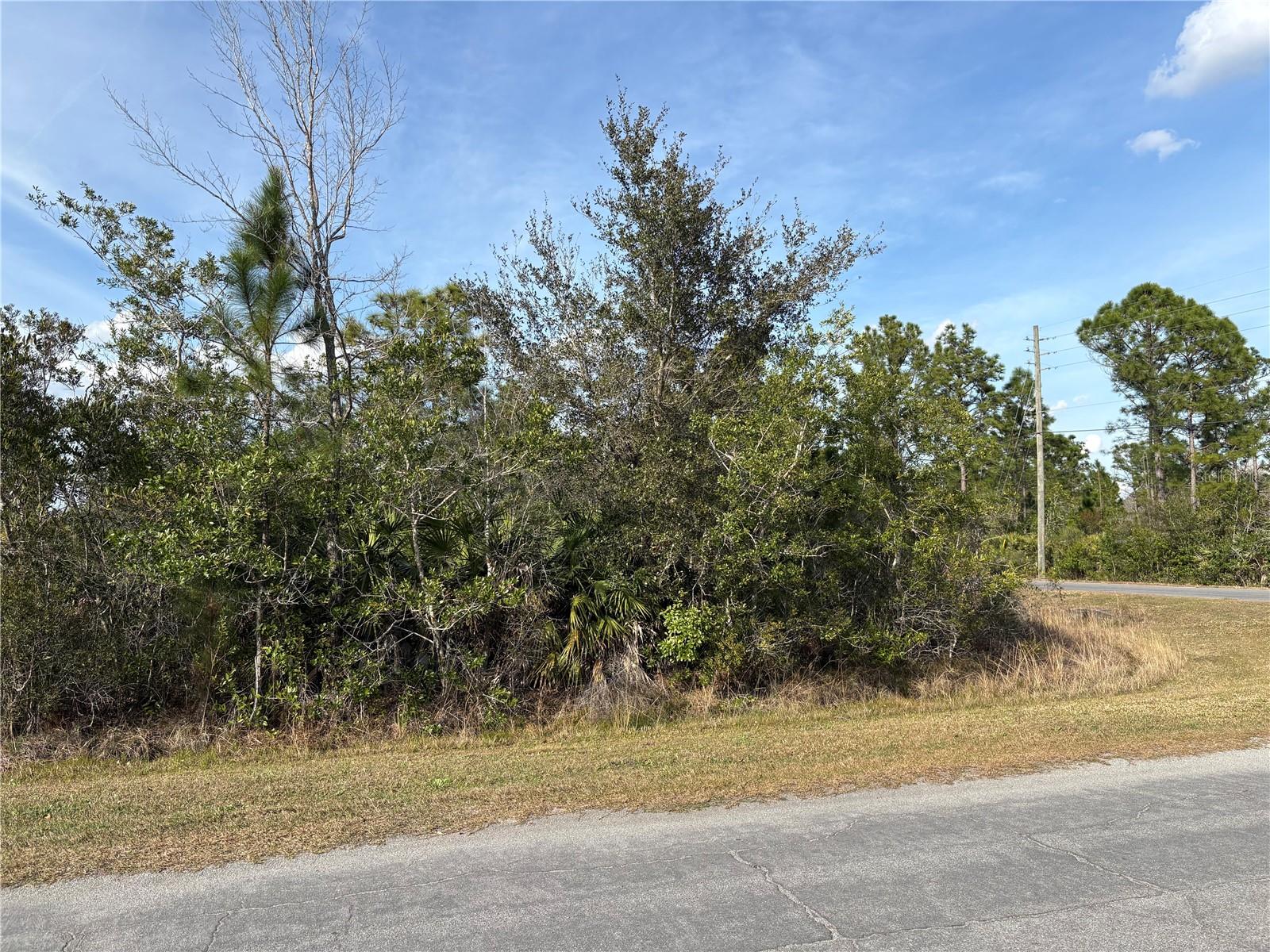 Image 2 of 3 For Odham Street