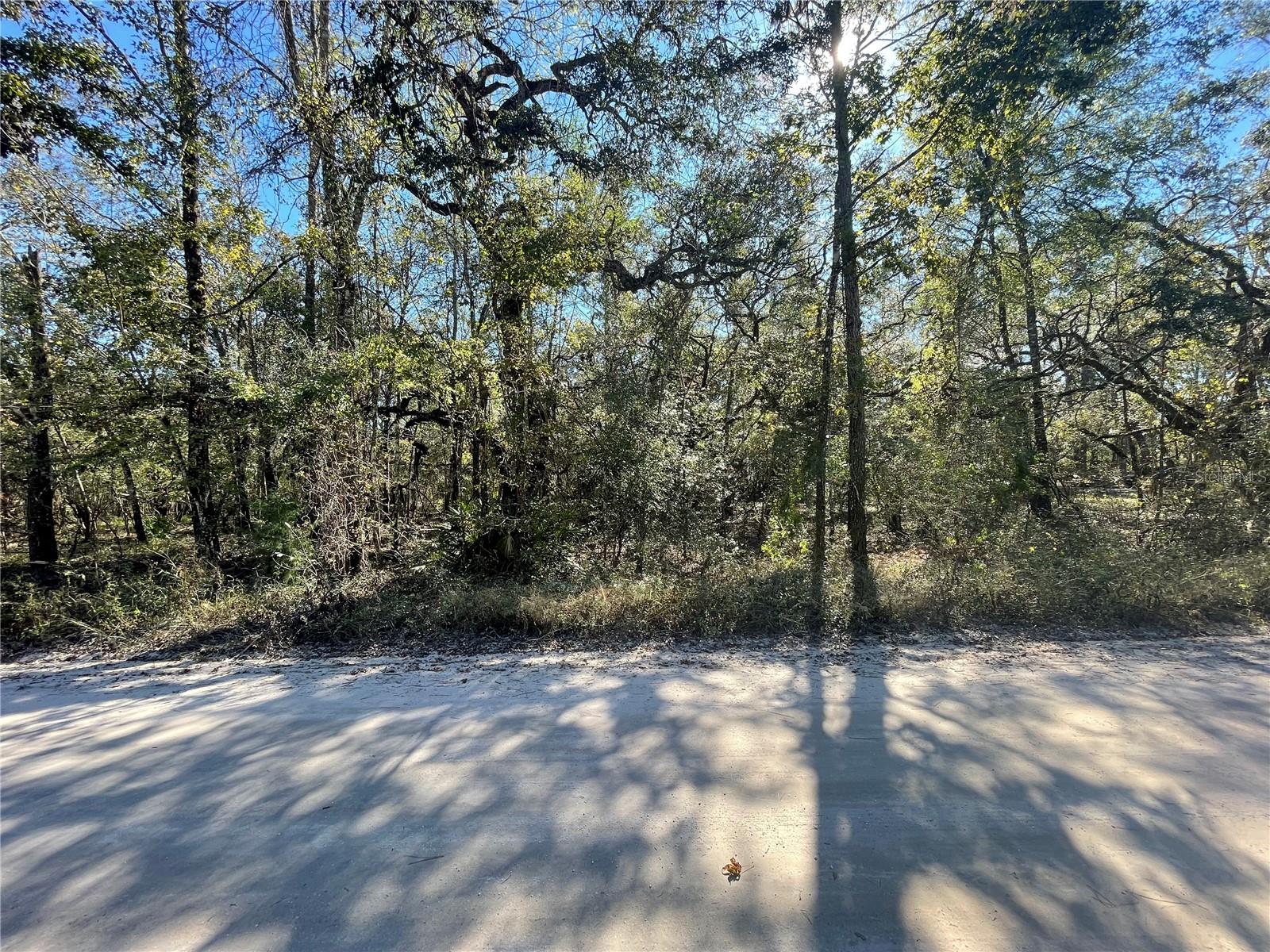 Image 6 of 16 For 10570 246th Trace