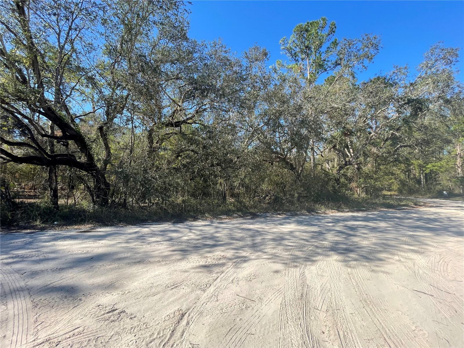 Image 7 of 16 For 10570 246th Trace