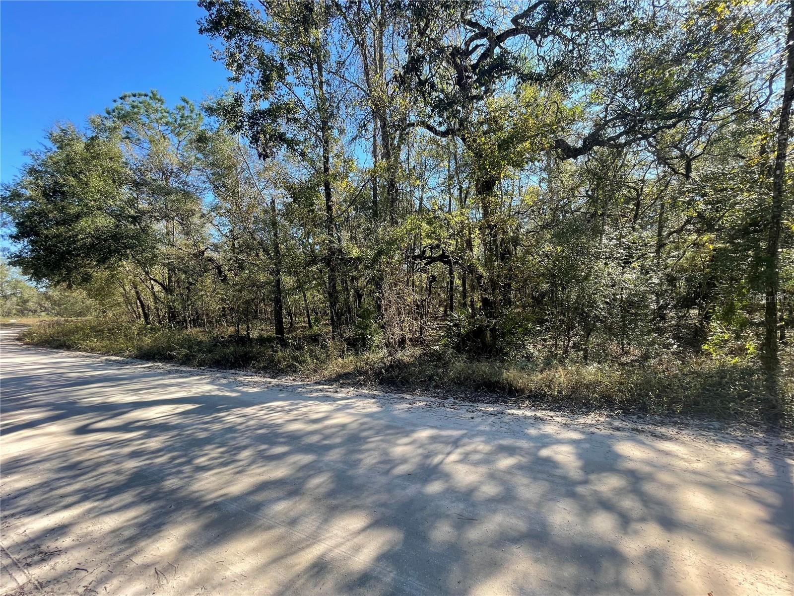 Image 8 of 16 For 10570 246th Trace