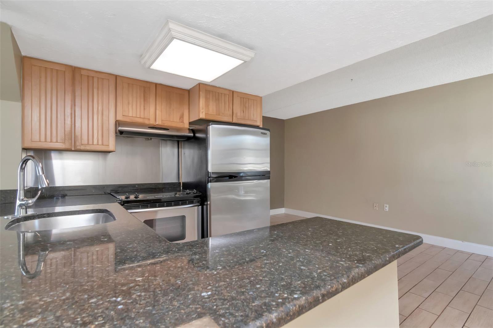 Image 22 of 33 For 2424 Tampa Bay Boulevard 204