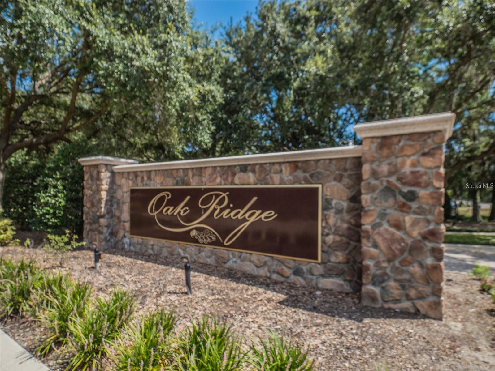 Image 51 of 63 For 4443 Pine Gold Avenue