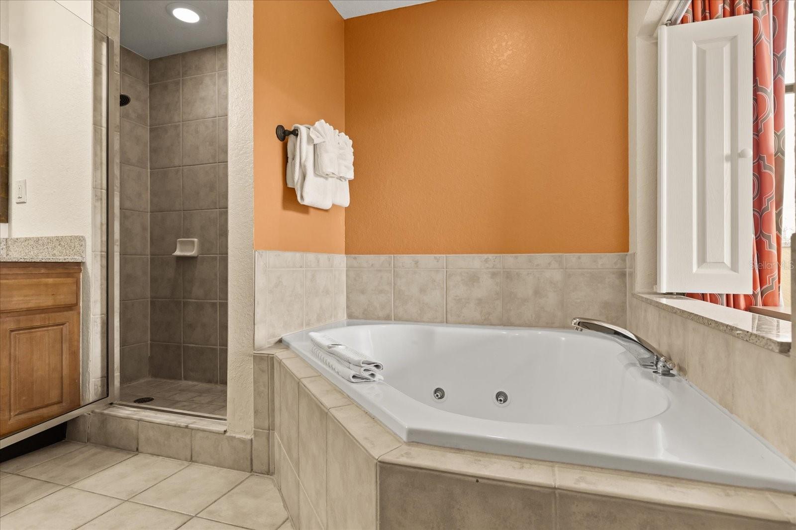 Image 31 of 61 For 12539 Floridays Resort Drive 404d