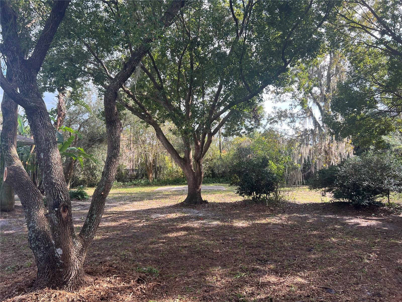 Image 4 of 5 For 1740 Whipple Drive