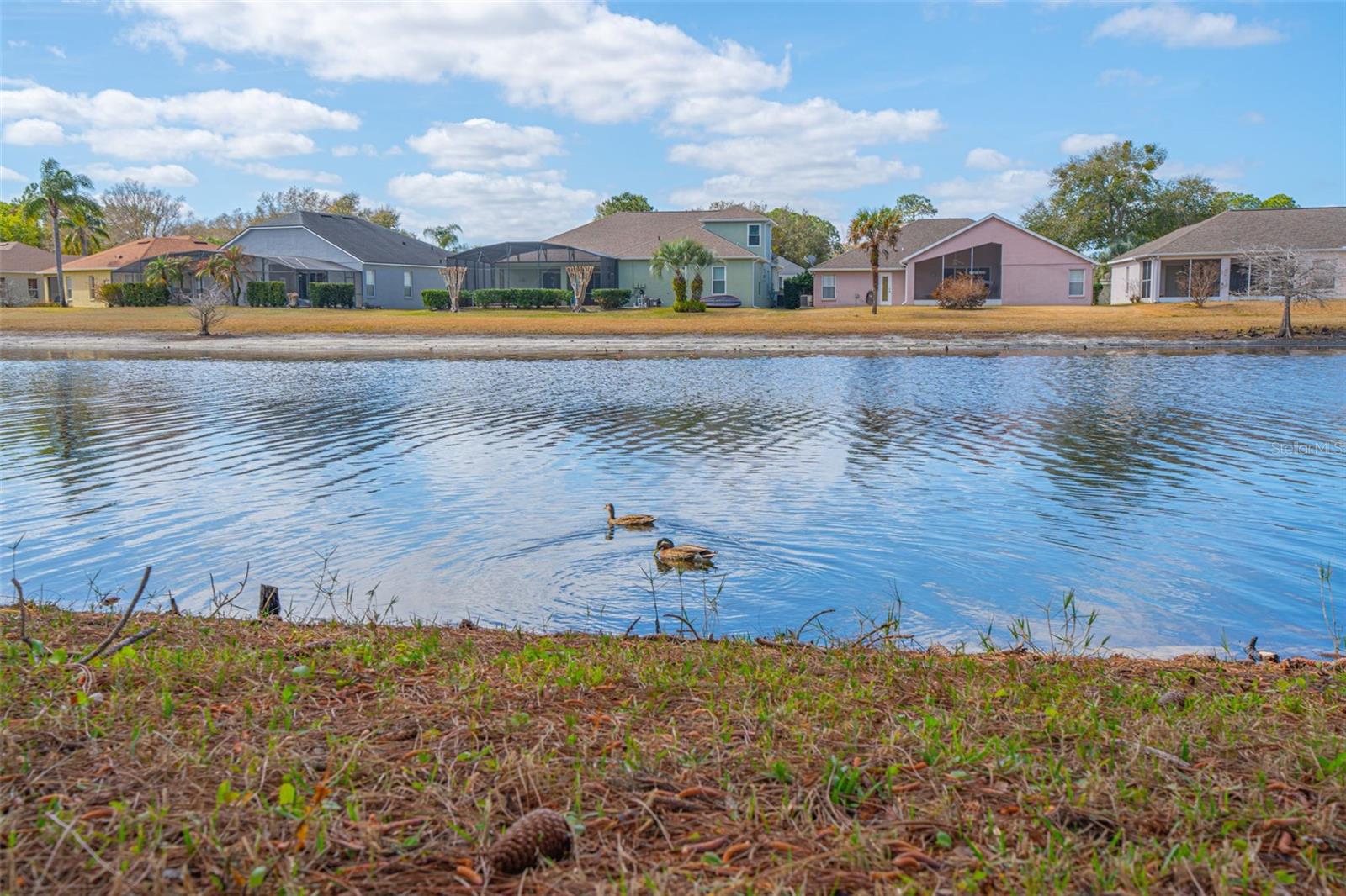 Image 41 of 52 For 269 Randon Terrace