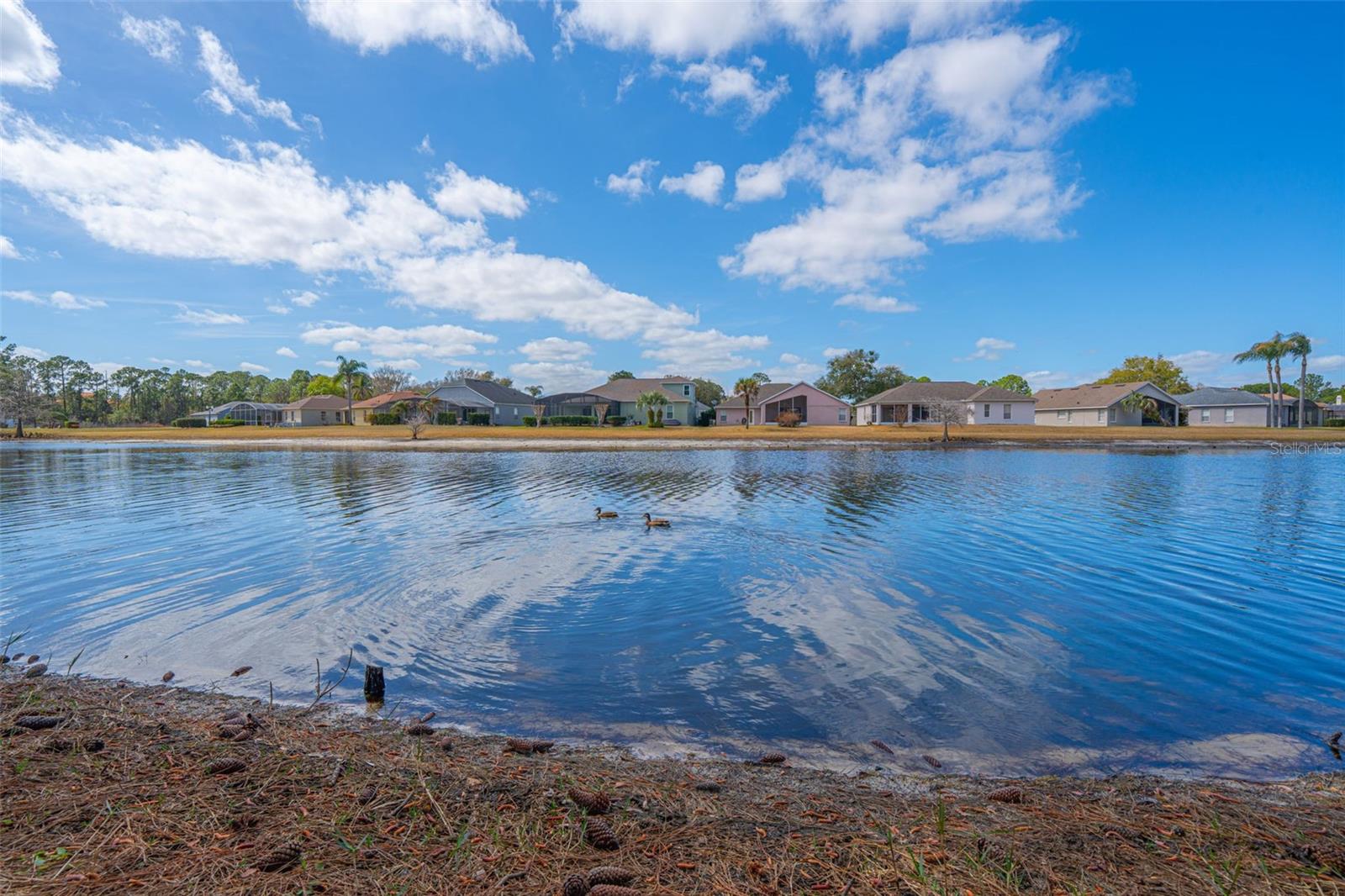 Image 42 of 52 For 269 Randon Terrace