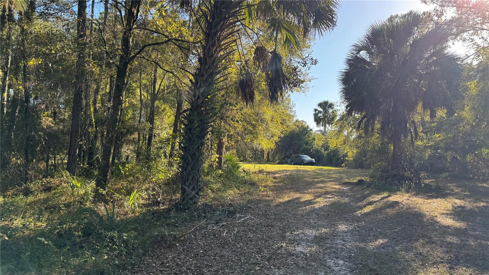 Details for 17221 95th Street Road, OCKLAWAHA, FL 32179