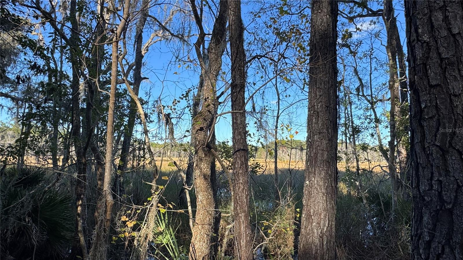 Image 2 of 6 For 17221 95th Street Road