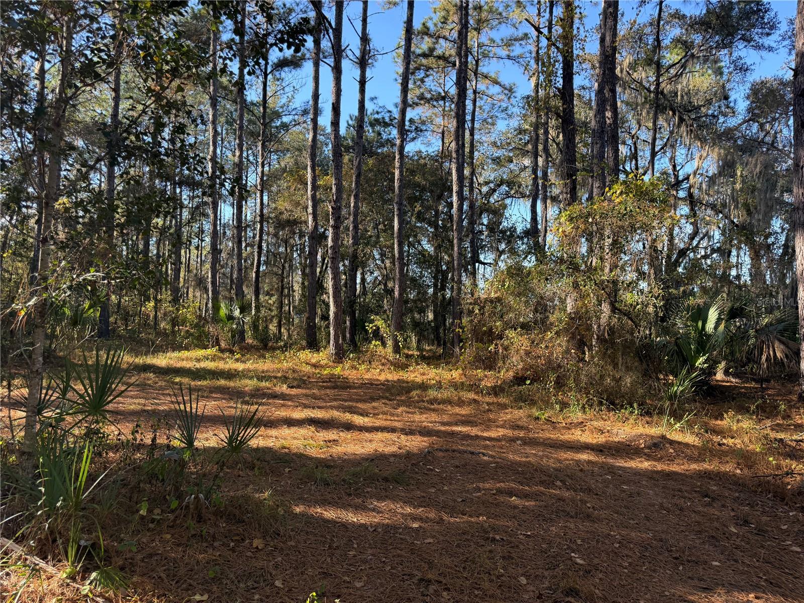 Image 3 of 6 For 17221 95th Street Road