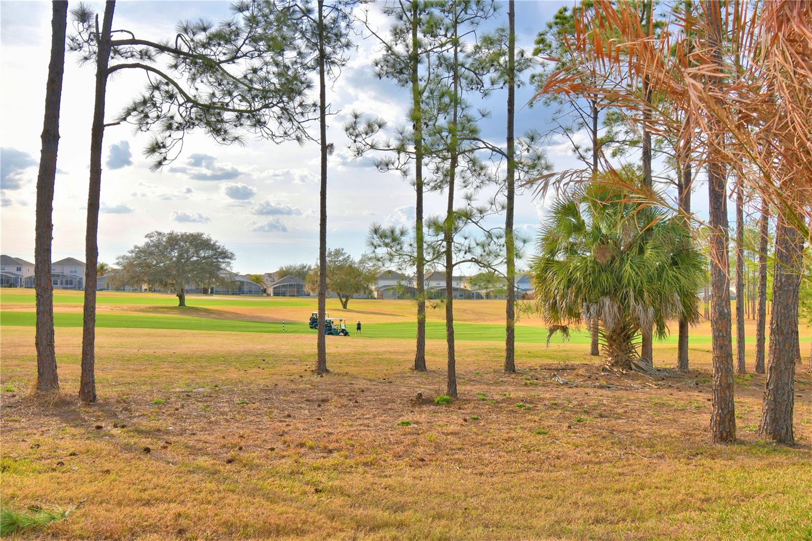 Listing photo id 58 for 609 Hampton Drive