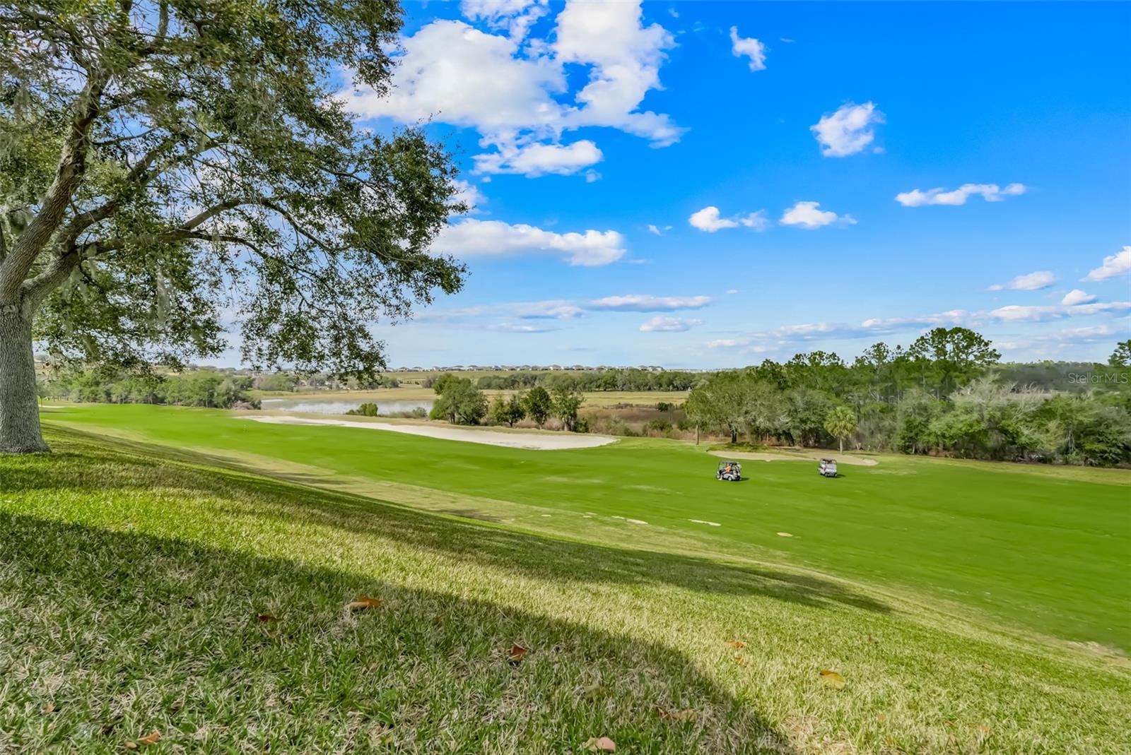 Image 14 of 54 For 2390 Caledonian Street