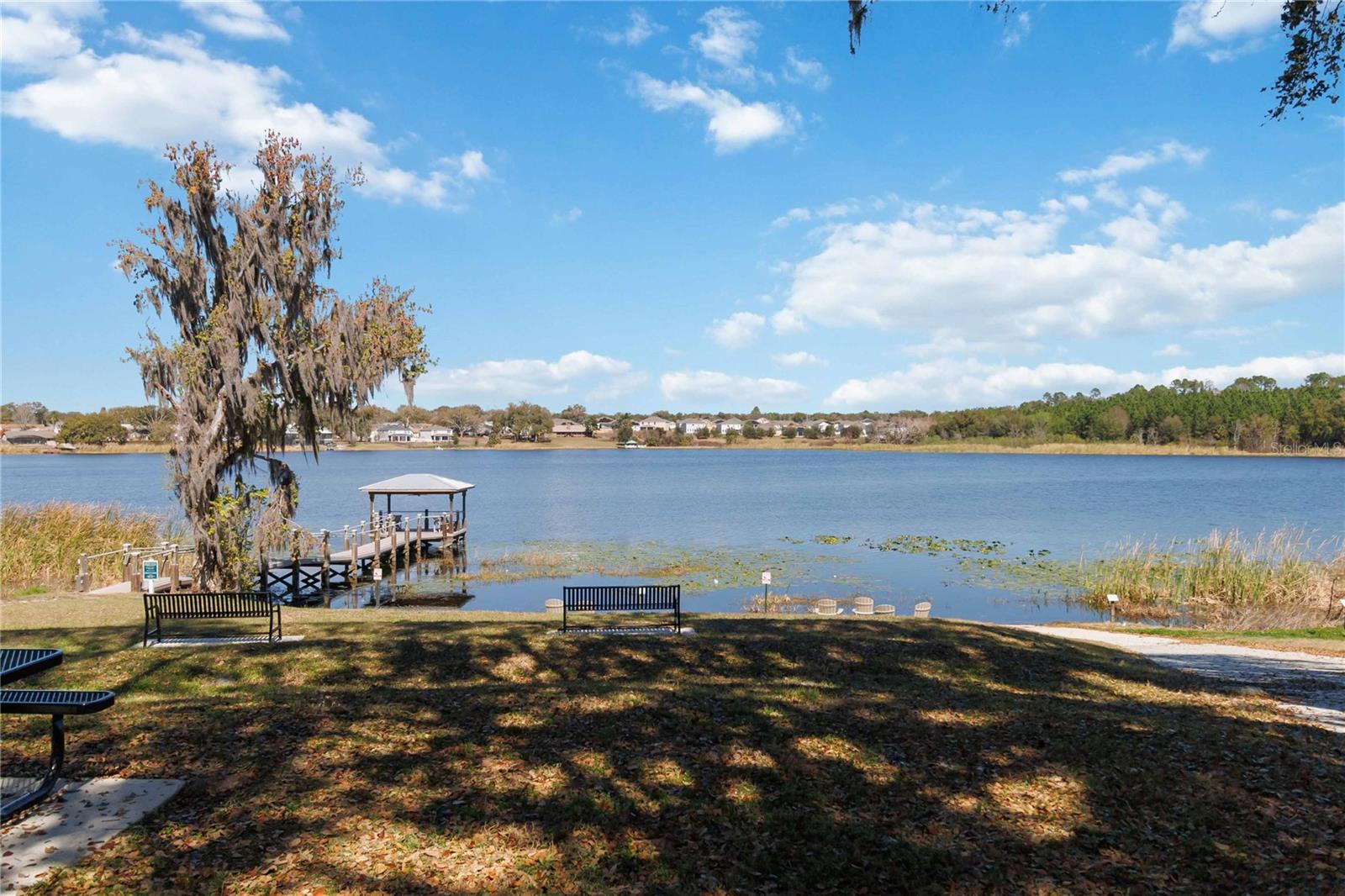 Image 38 of 47 For 1272 Hillcrest View Loop