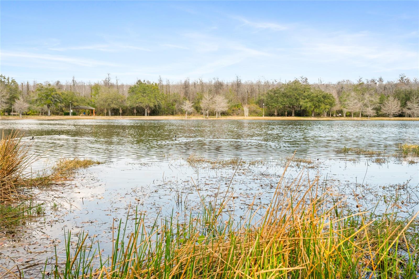 Image 28 of 31 For 10235 Cala Lily Trail 35a