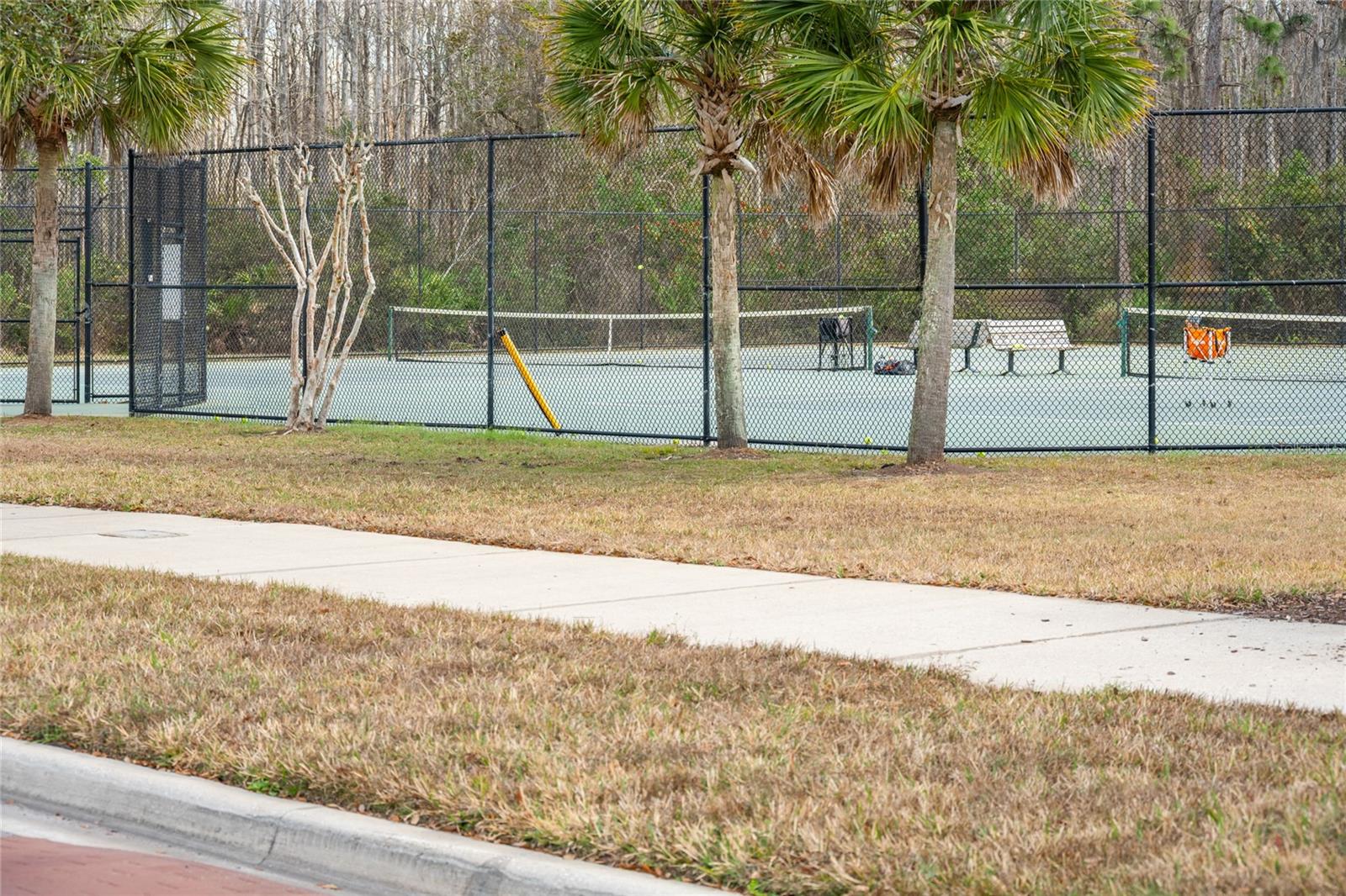 Image 29 of 31 For 10235 Cala Lily Trail 35a