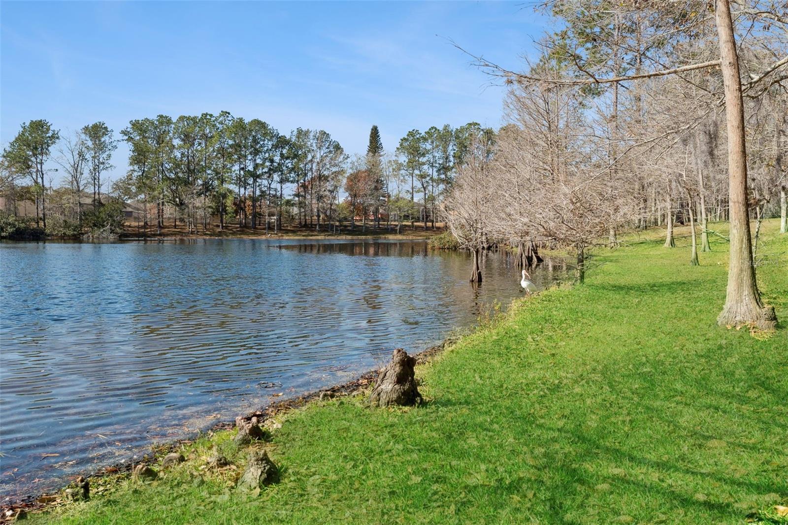 Image 31 of 35 For 2732 Tolworth Avenue