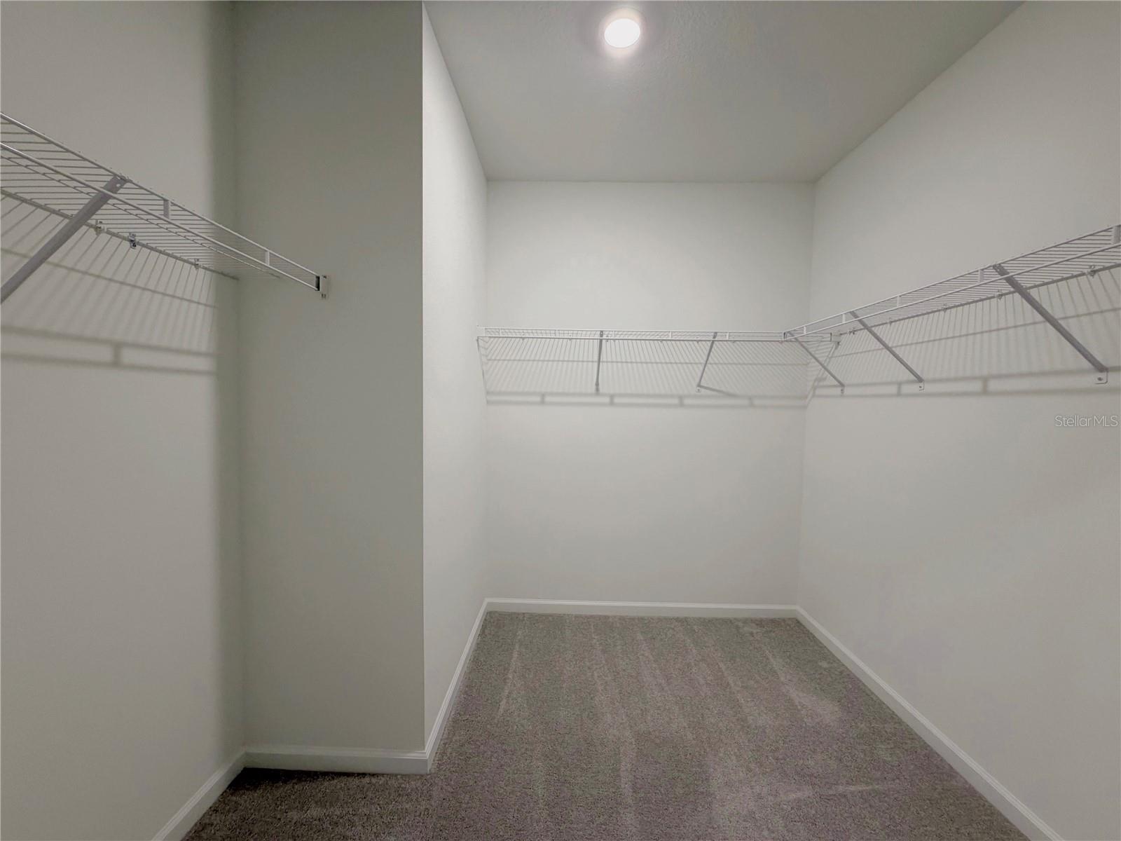 Image 14 of 47 For 2182 Lasso Loop