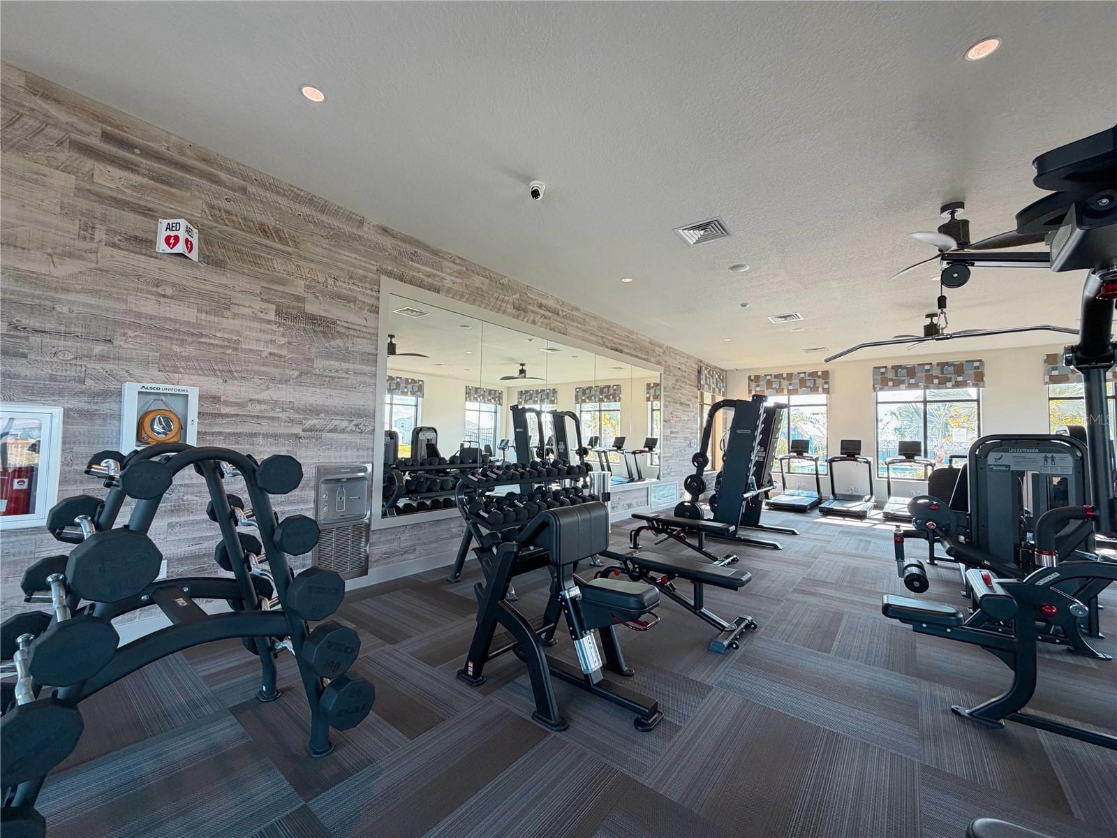 Image 36 of 47 For 2182 Lasso Loop