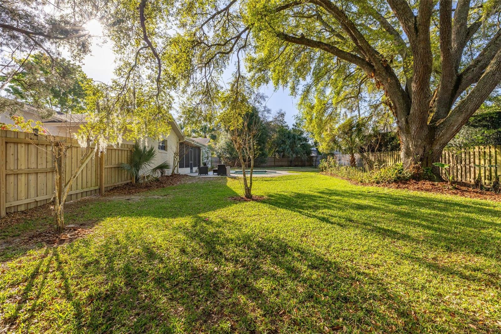 Image 31 of 39 For 255 Hornbeam Drive