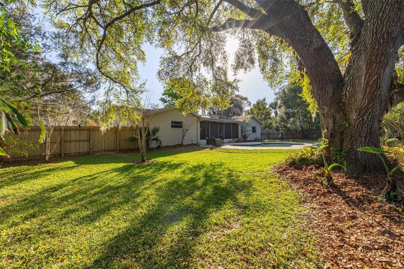 Image 32 of 39 For 255 Hornbeam Drive