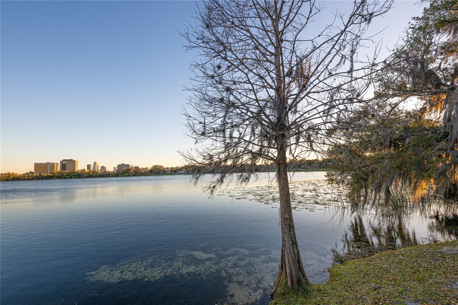 Image 41 of 45 For 1845 Gerda Terrace