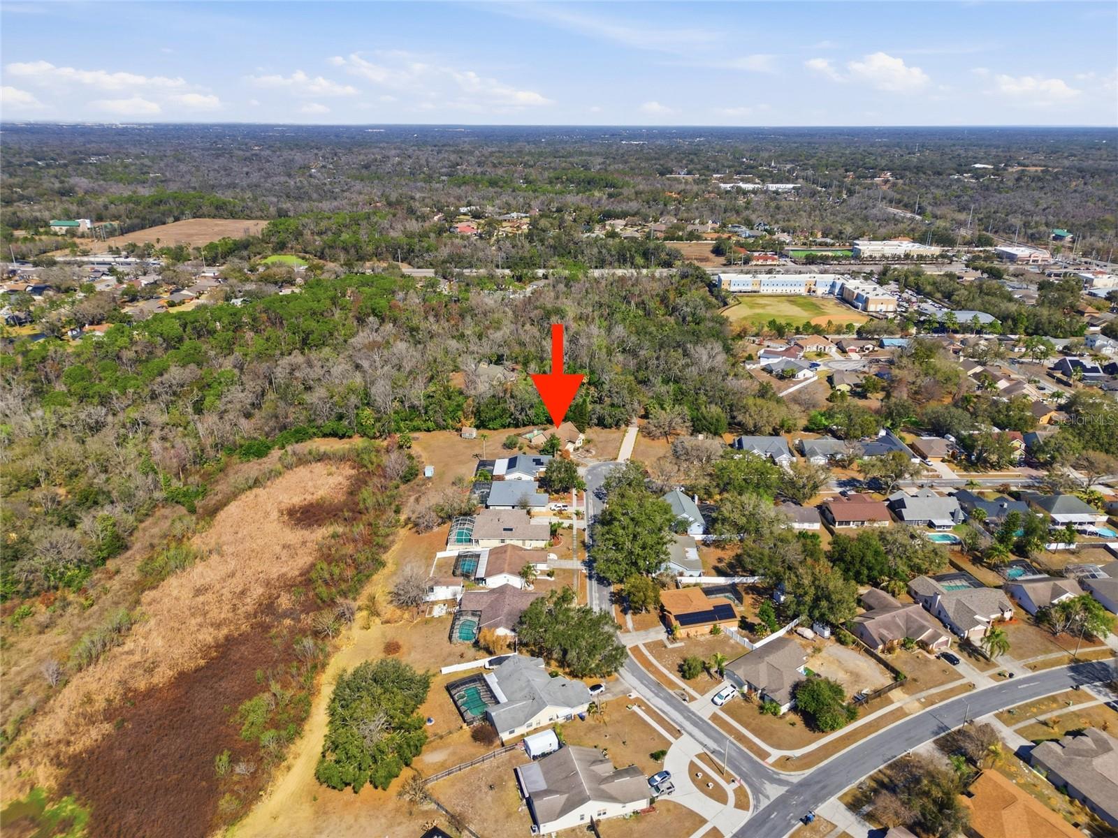 Image 38 of 40 For 10225 Evening Trail Drive