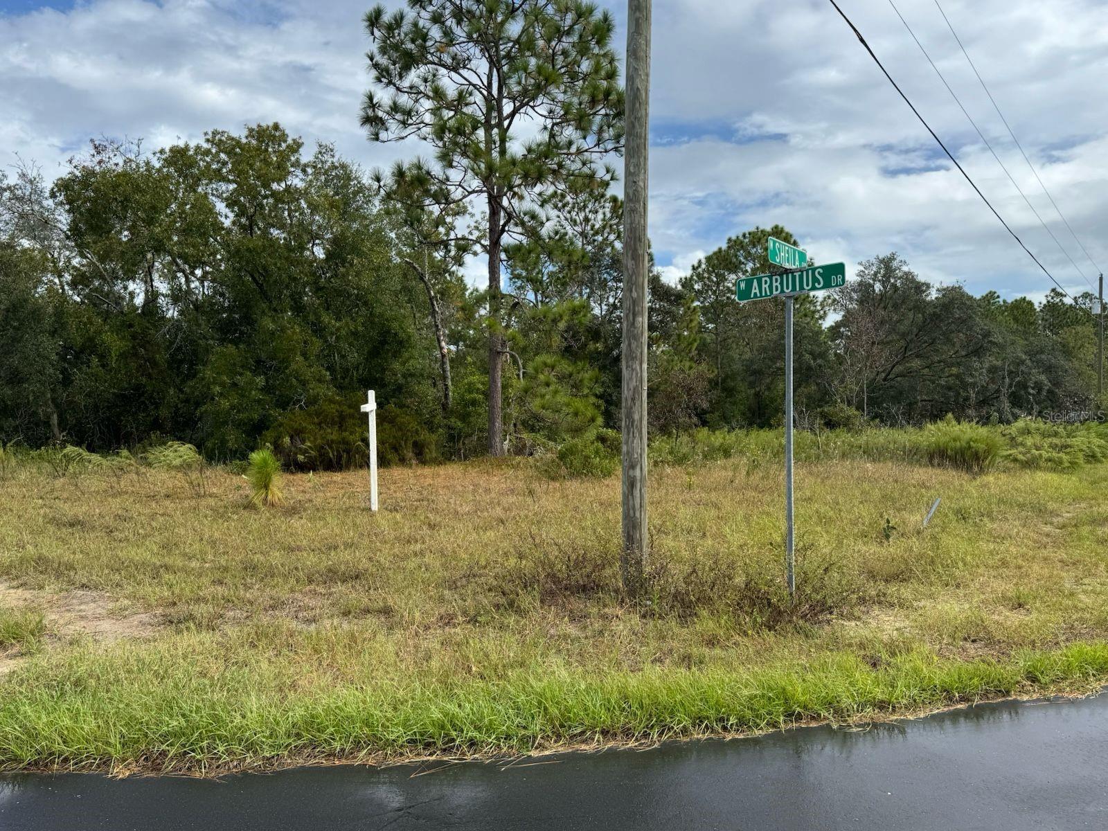 Image 5 of 11 For 2845 Sheila Drive