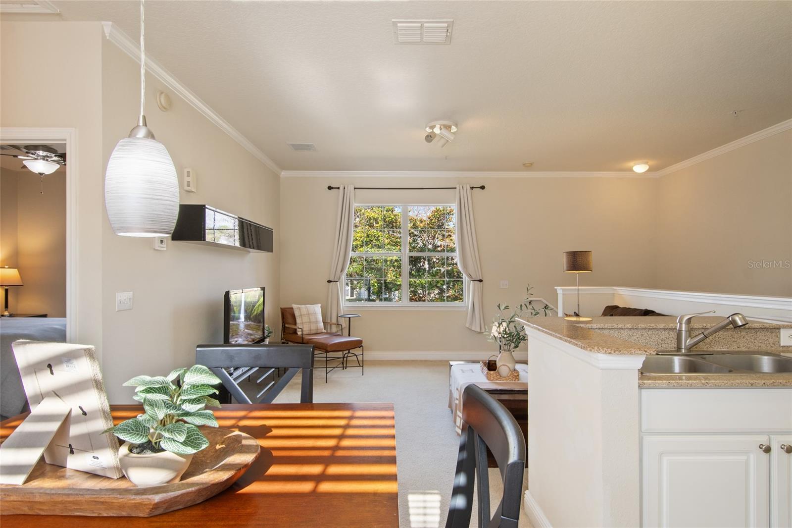 Image 19 of 42 For 317 Southern Pecan Circle 102