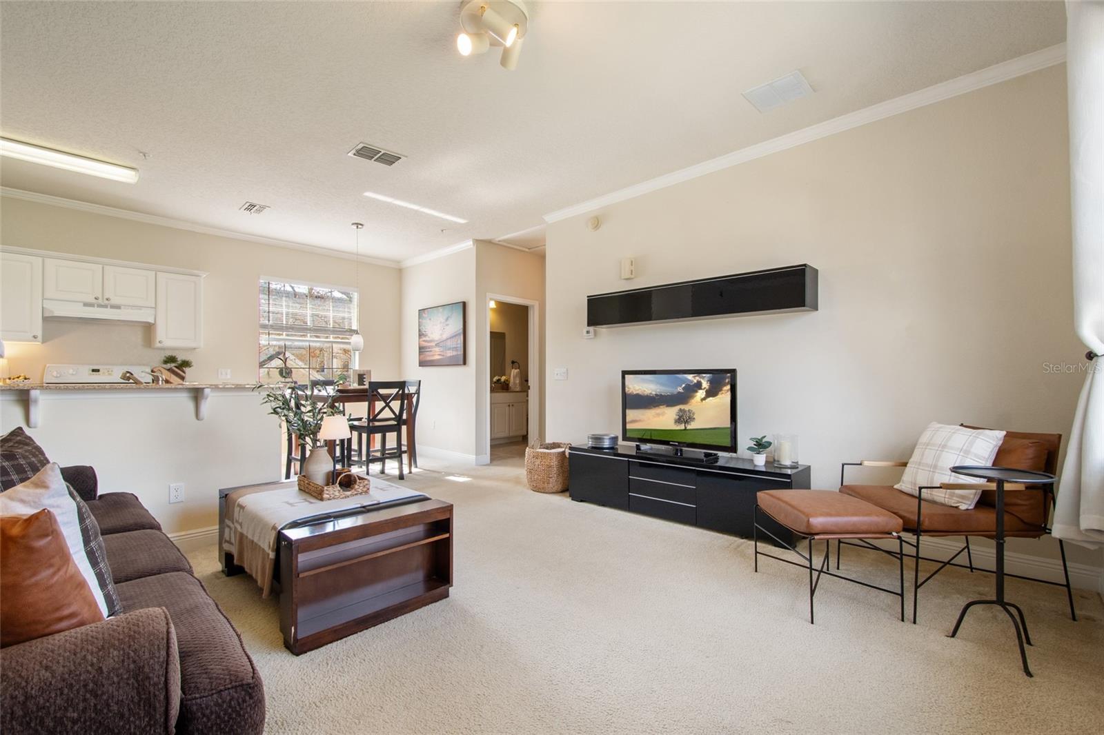 Image 3 of 42 For 317 Southern Pecan Circle 102