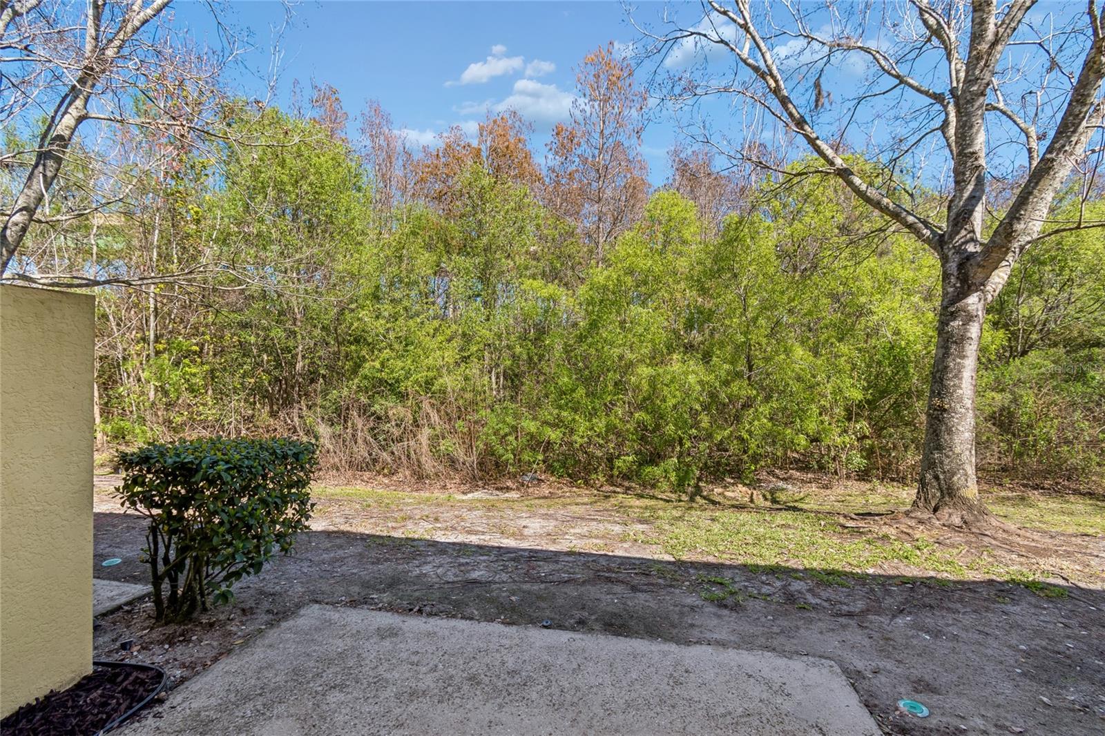 Image 31 of 45 For 113 Glowing Peace Lane 97