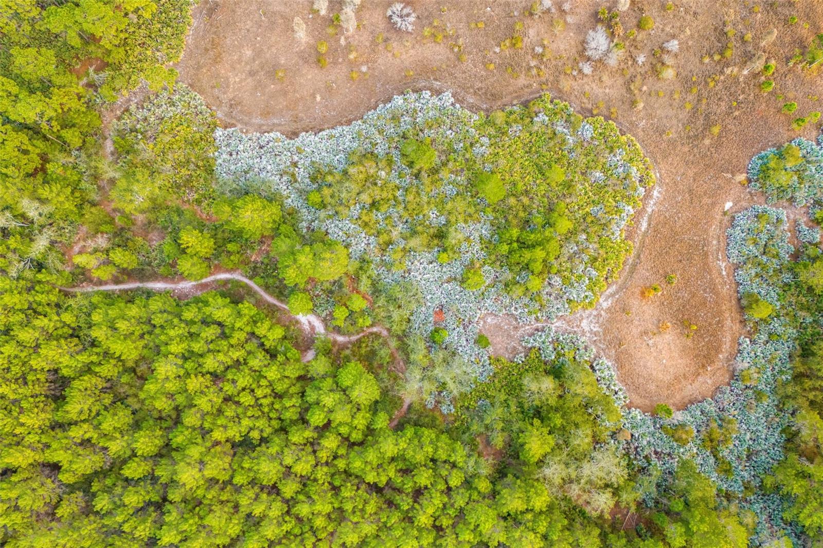 Image 68 of 76 For 1305 Pemberton Trail