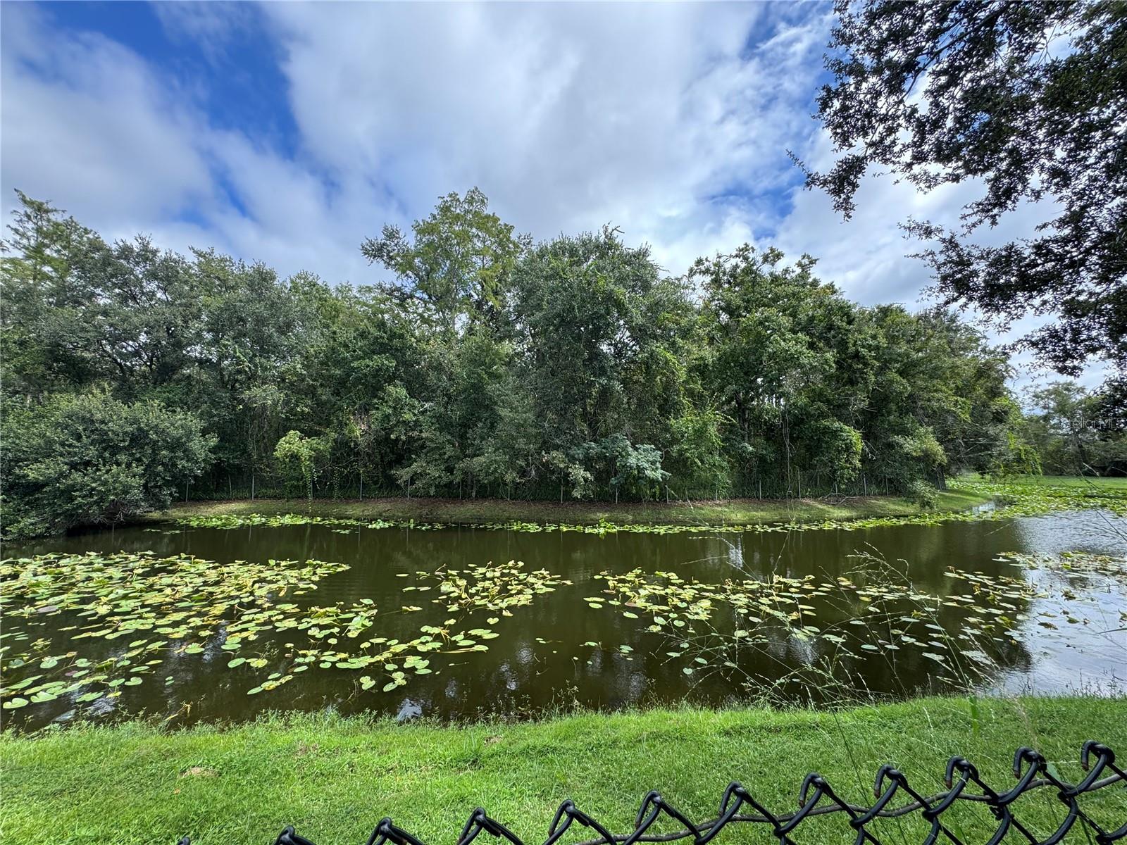 Image 22 of 24 For 1143 Fremont Park Avenue