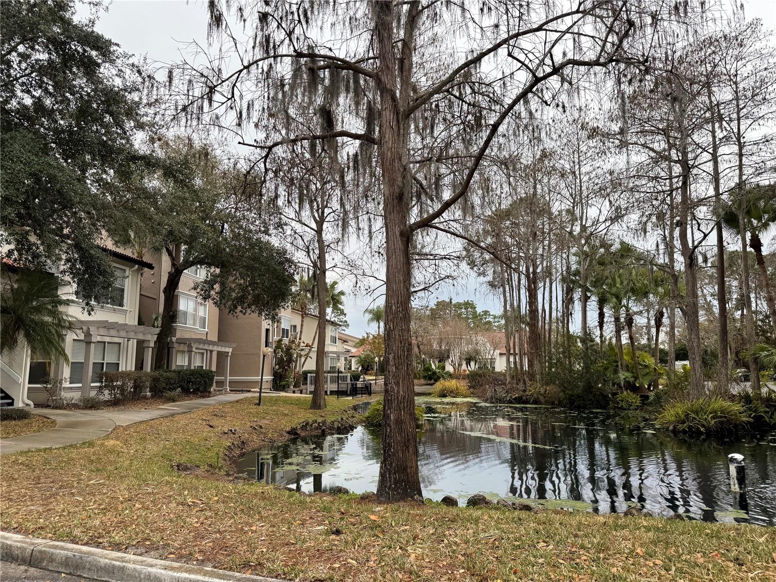 Image 18 of 21 For 5120 Conroy Road 523