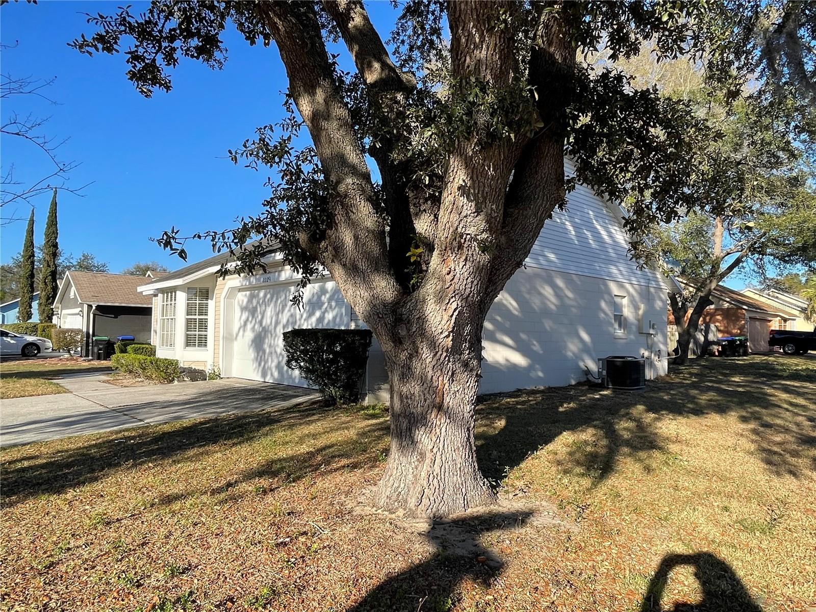 Image 20 of 21 For 2229 Bridgewood Trail