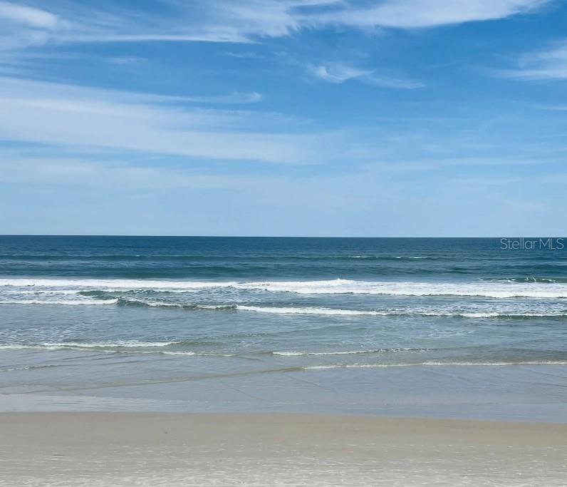 Image 19 of 25 For 3224 Needle Palm Drive