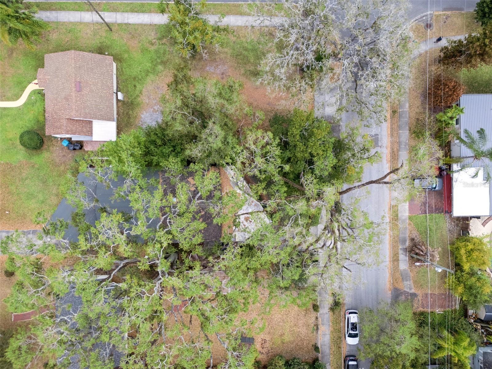 Image 24 of 34 For 2516 Helen Avenue