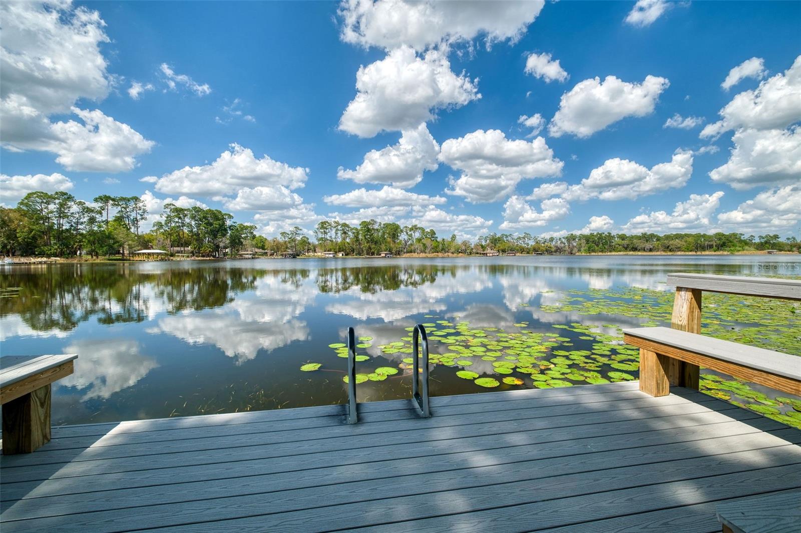 Image 36 of 40 For 8878 Larwin Lane