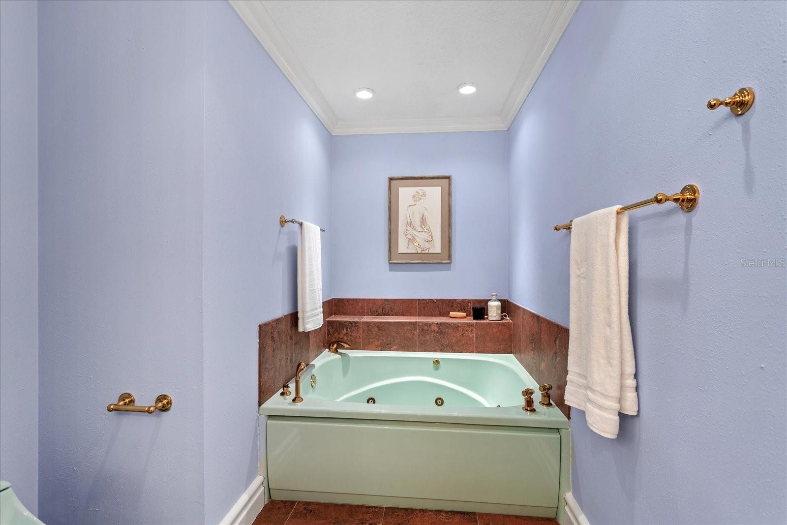 Image 54 of 69 For 1513 Black Bear Court