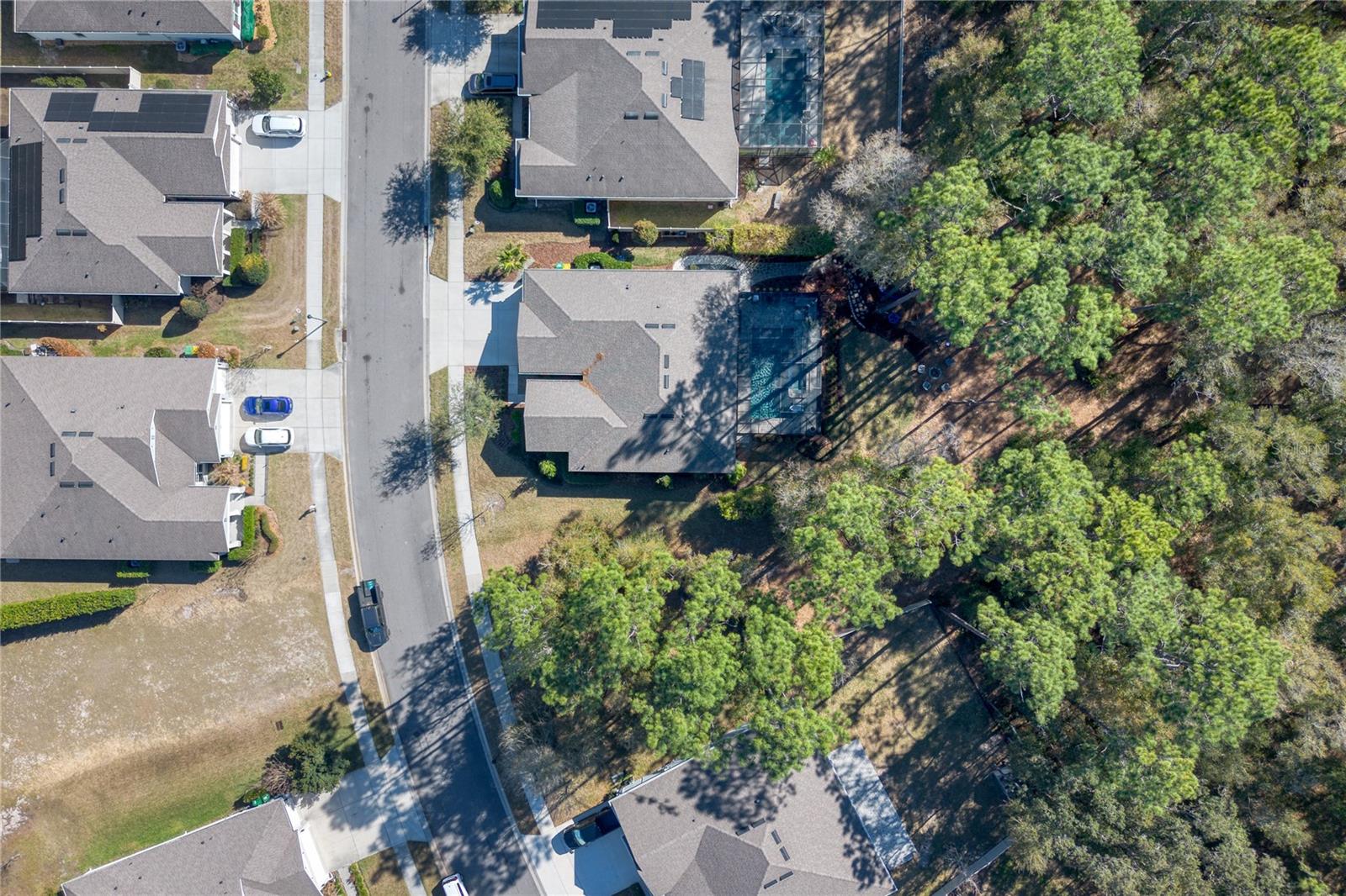 Image 31 of 34 For 485 Nowell Loop