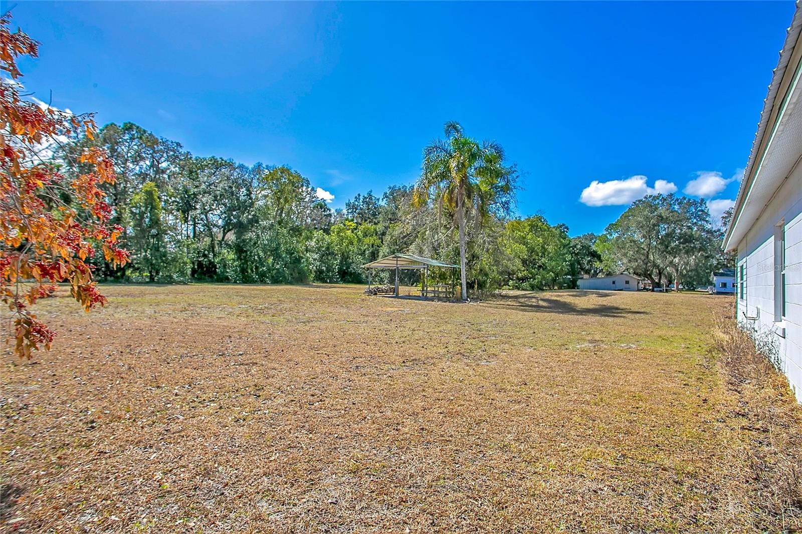 Image 21 of 35 For 265 Myrtle Street